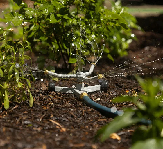 Arrosage automatique