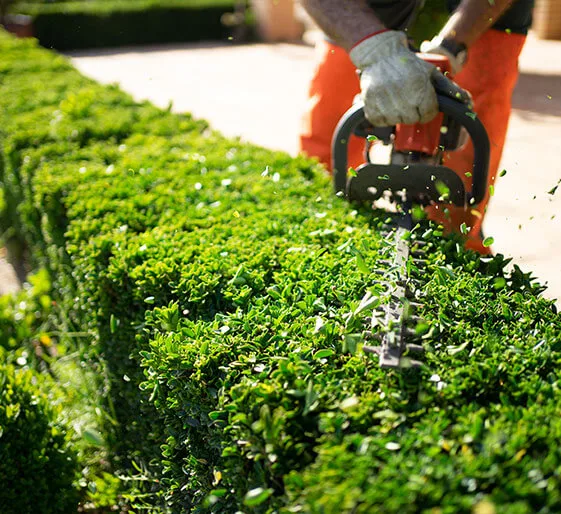 Arrosage automatique