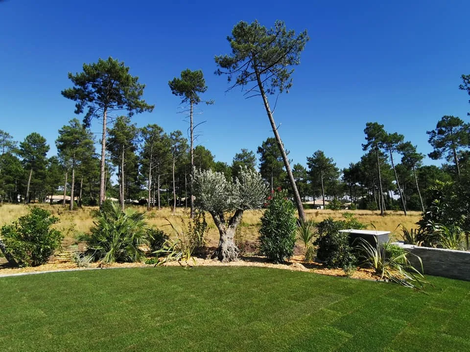 amenagement-paysager-001