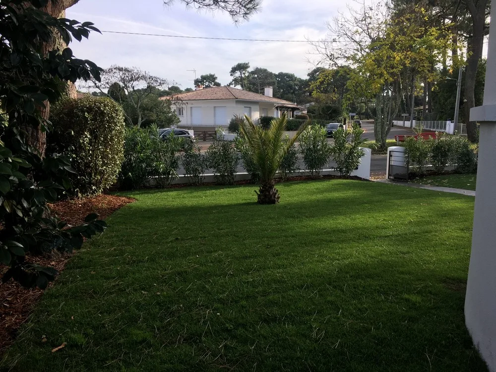 Gazon plaqué, massifs avec écorces décoratives et plantations - Arcachon #Gironde
