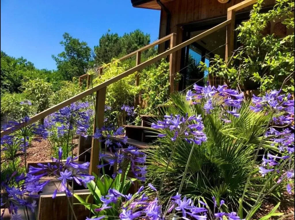 amenagement-paysager-lacanau-3