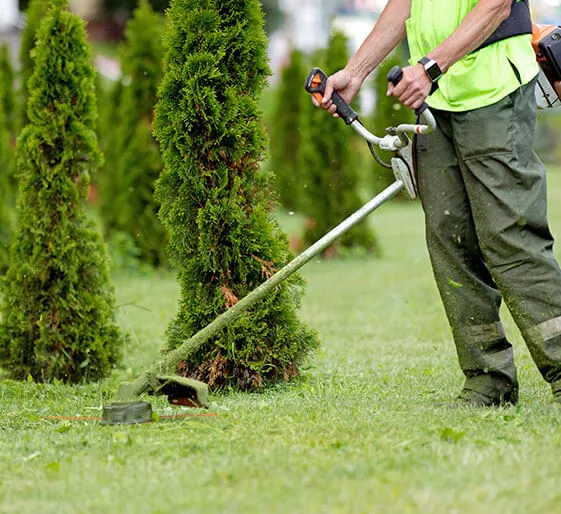 aménagement paysager