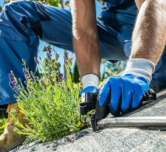 Arrosage automatique