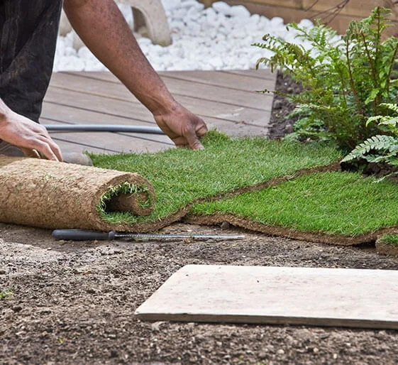 aménagement paysager