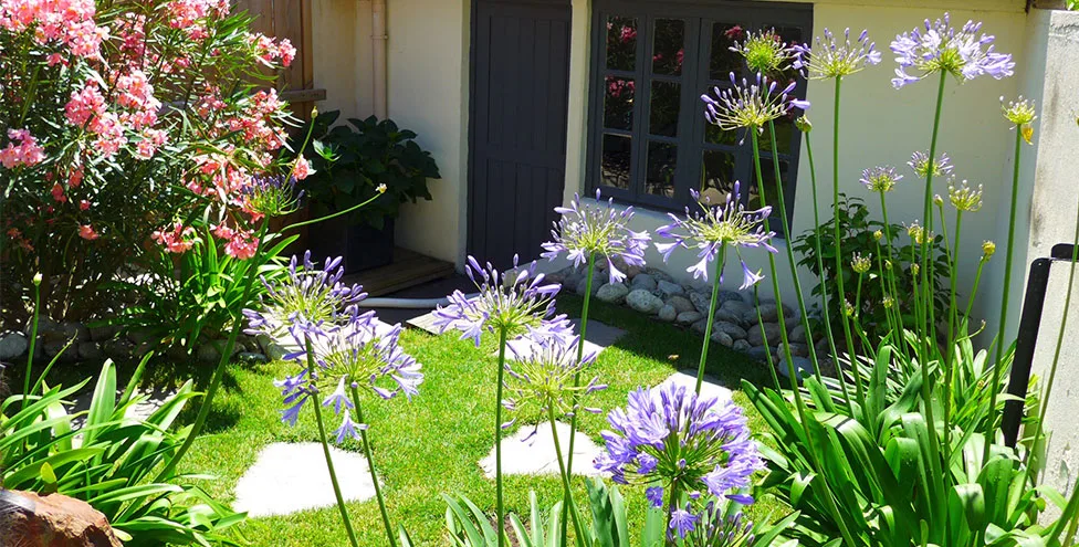 specialiste-jardin-particulier