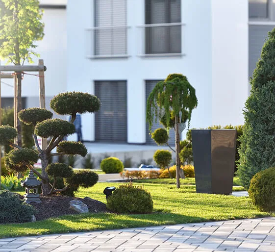 aménagement paysager