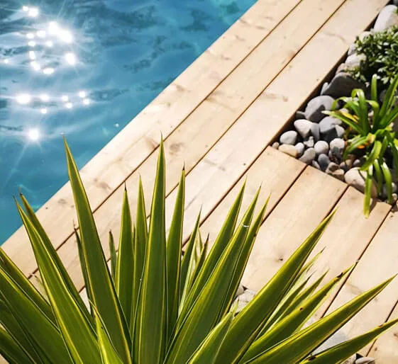 Arrosage automatique