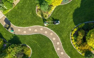 Engazonnement à Bordeaux : rouleau ou semis, que choisir pour un jardin parfait ?